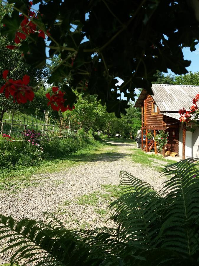 Lodge Victor