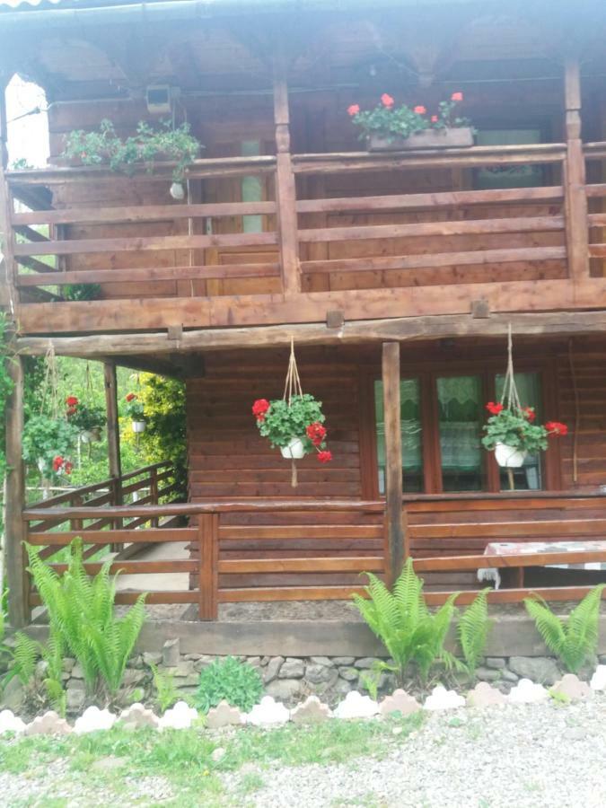 Lodge Victor Sighetu Marmatiei